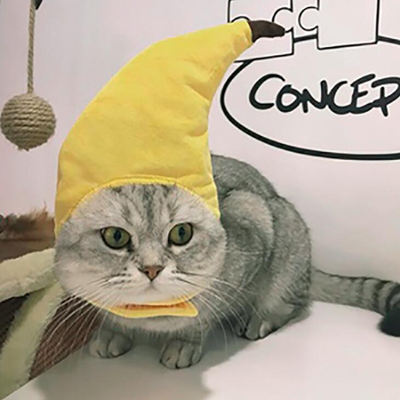 Pet Costume